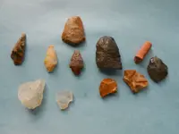 first finds this year 007.webp