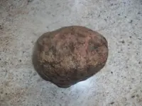 100_6692.webp