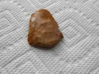 first finds this year 006.webp