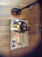 image-3904913351.webp