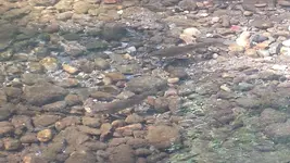 20140323_120912.webp