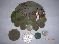 DSCN5995.webp