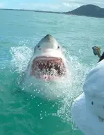 image-2478984515.webp
