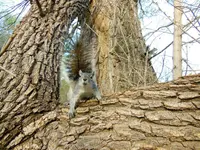 DSCN8952.webp