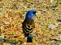RSCN1697.webp