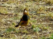 DSCN1972.webp