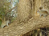 DSCN8961.webp