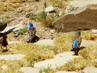 DSCN2514.webp