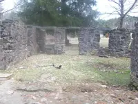 100_6638.webp
