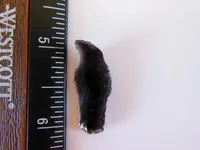 DSCN8666.webp