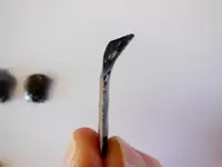DSCN8665.webp
