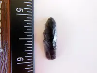 DSCN8658.webp
