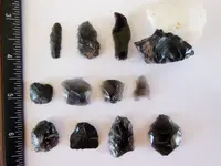 DSCN8653.webp