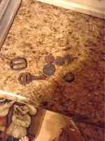 image-3541376185.webp