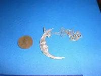 CIMG0717.webp