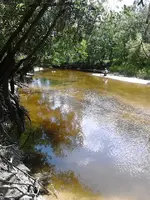 ForumRunner_20140520_055725.webp