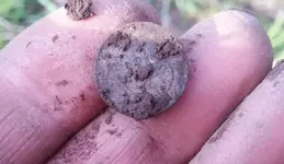 3 cent reverse in field.webp