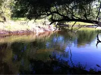 image-3187663557.webp