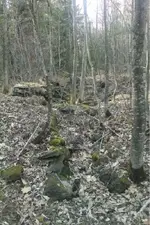image-3239164210.webp
