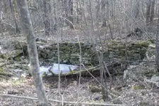 image-3188791421.webp