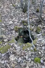 image-3517928640.webp