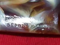100_7706.webp