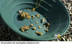 Gold-in-pan.webp