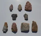 DSCN0212.webp