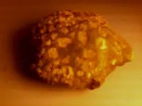 140520_006.webp