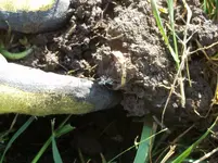 100_1725.webp