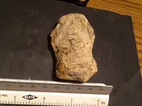image-790607677.webp