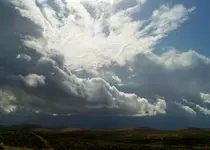 wyo 1.webp