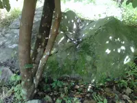 IMG01015-20140323-0954.webp