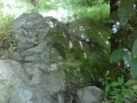 IMG01016-20140323-0954.webp