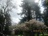 Chug's birthday hunt 072.webp