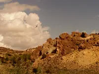 wyo 3.webp