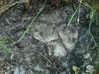 IMG01088-20140410-1652.webp