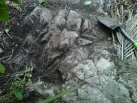 IMG01097-20140412-1036.webp
