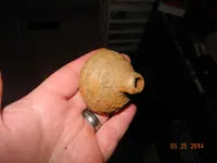 DSCN0039.webp