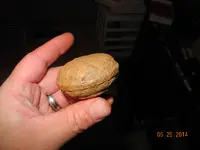 DSCN0040.webp