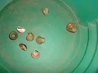 DSCF0001.webp