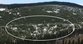 Dip 22 Circled.webp