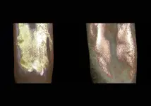 Brass_Copper2.webp