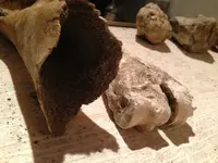 image-1610777239.webp