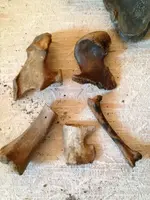 image-1408513026.webp