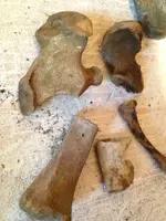 image-2945280877.webp