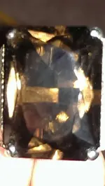 10255501_10152373897060049_5695406071308048290_n.webp