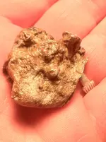 mossy gold nugget photo.webp mossy gold nugget photo.webp