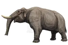 Sinomastodon_by_dibgd-d4q4ibg.webp