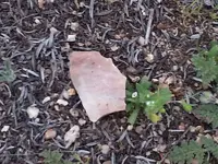 20140413_181402.webp